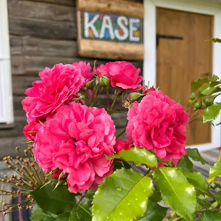 カントリーハウス Kaseke